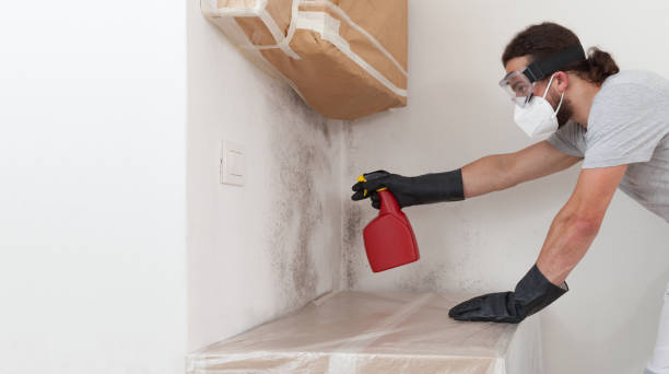 Professional Bathroom Mold Removal technician working in Belmont, NC